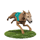 TZ娛樂城白金賽狗 TZ娛樂城白金賽狗